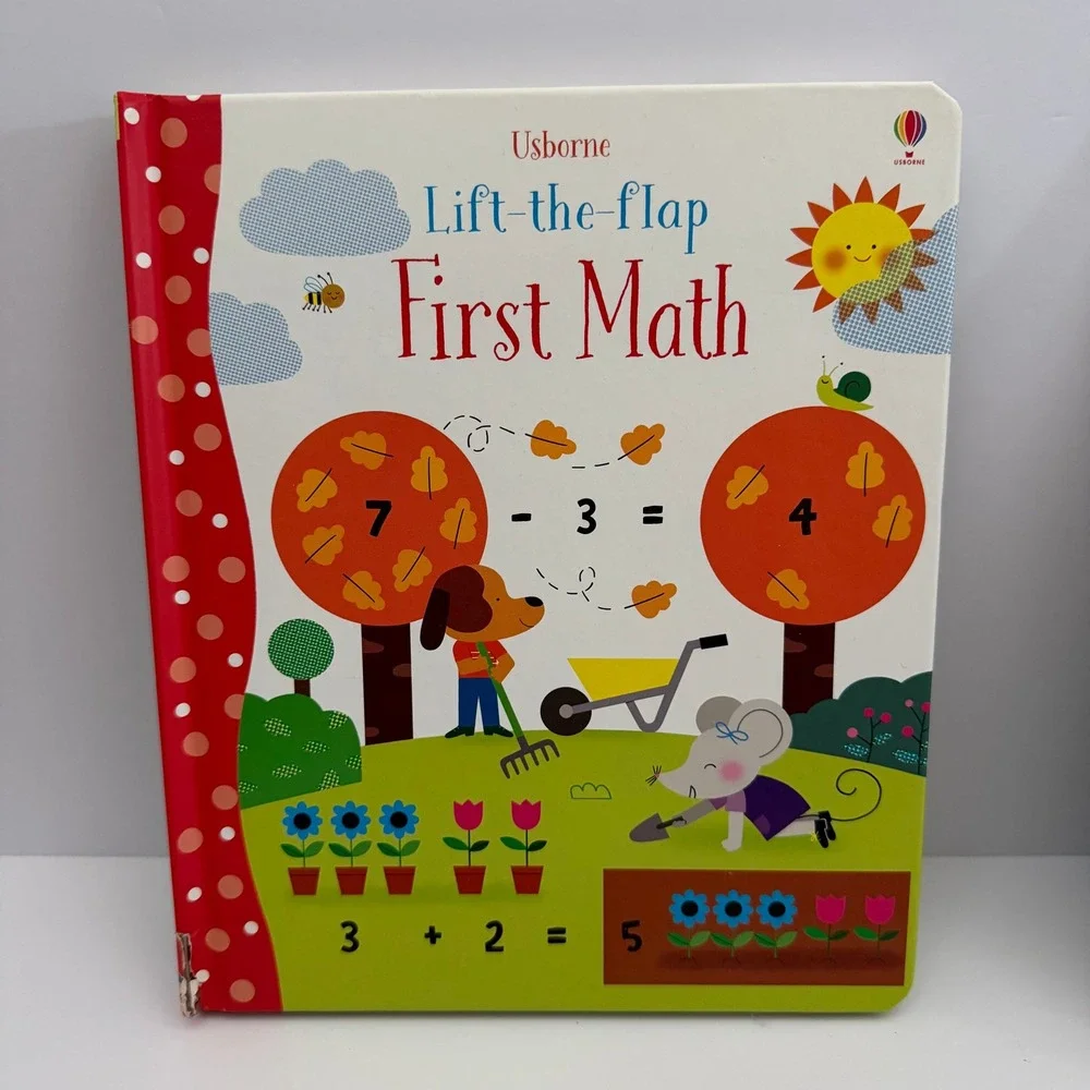 Usborne Lift-the-flap Book Set First Math Colors Numbers